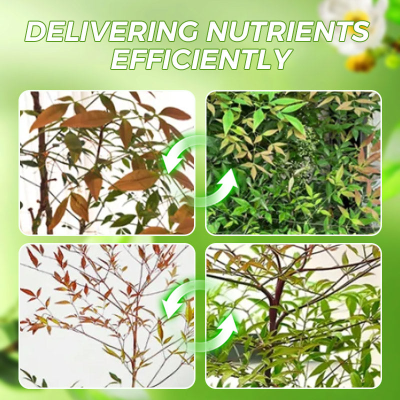 🌱💧 Vitalité Profesionnelle pour Toutes Vos Plantes - Engrais Concentré Équilibré - Aucune Dilution, Résultats Garantis 【Promo Flash -50%】