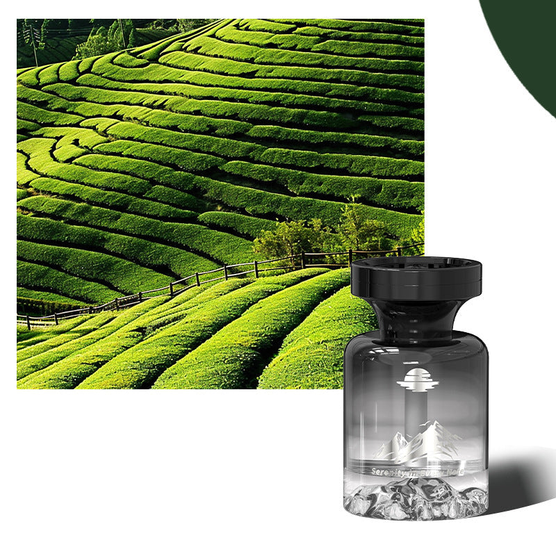 🔥 Dernier jour, 50 % de réduction !🔥 Désodorisant de voiture longue durée de 110 ml