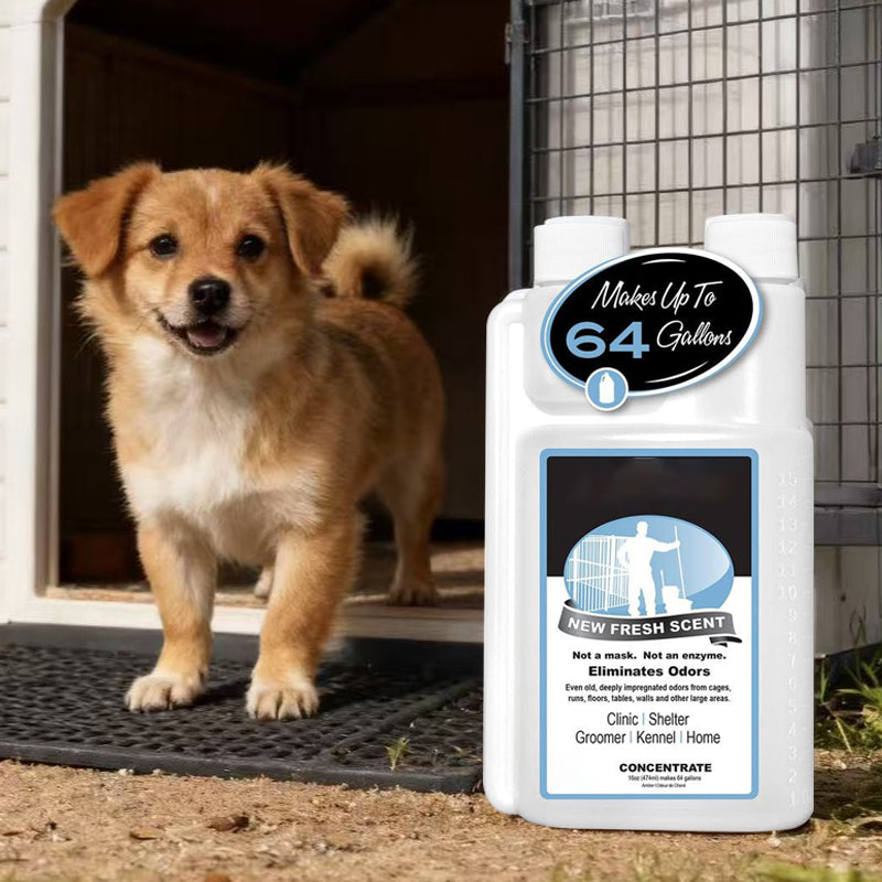 🐶 60 % DE RÉDUCTION ! 🏠 Concentré pour éliminer les odeurs d'animaux domestiques – Neutralise les odeurs, sans danger pour les animaux domestiques et rafraîchissant 🐱