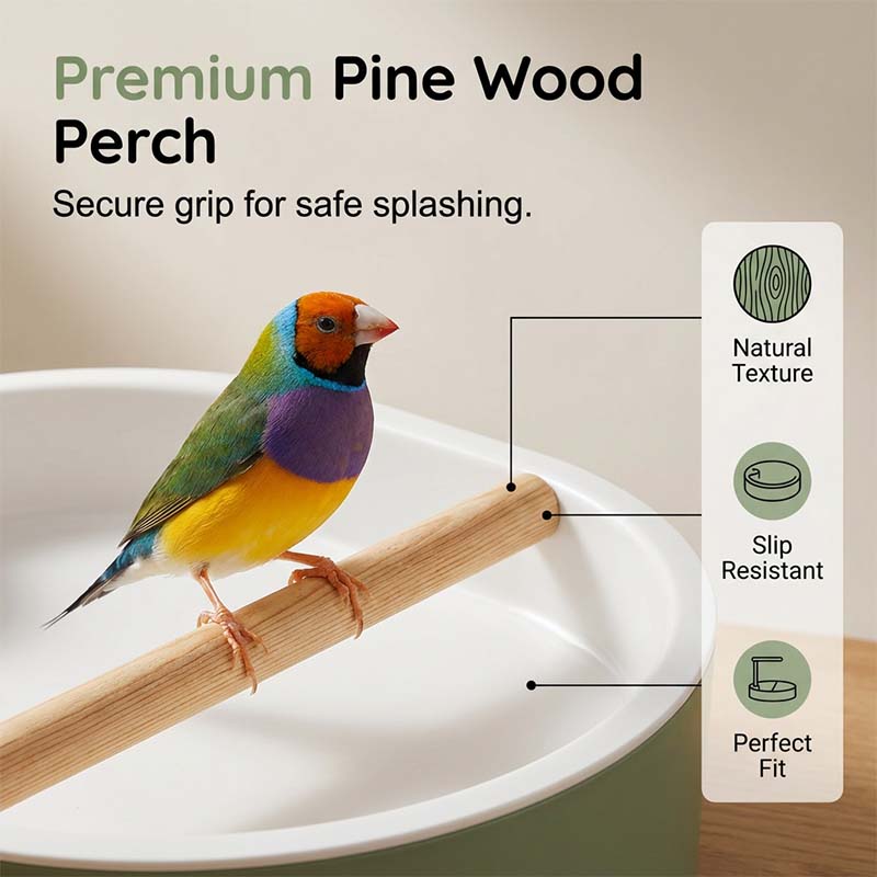🐦 PROMO LIMITÉE 50% DE RÉDUCTION ! 🚿 Bain d'Oiseaux Électrique – Douche Pluie, Perchoir & Pompe Silencieuse pour le Bonheur de Vos Oiseaux 💧