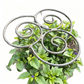 💐50% DE RÉDUCTION ! Support Anti-Chute pour Plantes – Idéal pour Roses & Dahlias 🌹🌿【Qualité Pro】