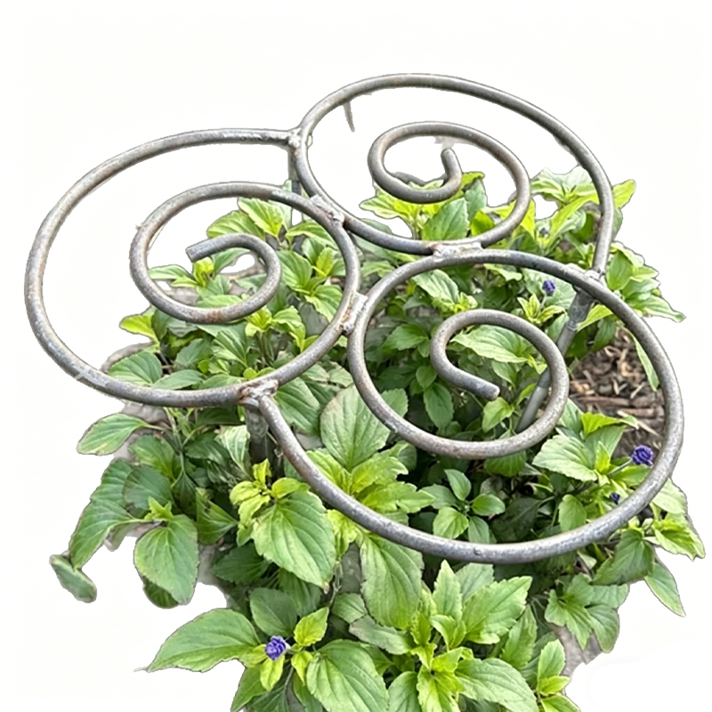 💐50% DE RÉDUCTION ! Support Anti-Chute pour Plantes – Idéal pour Roses & Dahlias 🌹🌿【Qualité Pro】