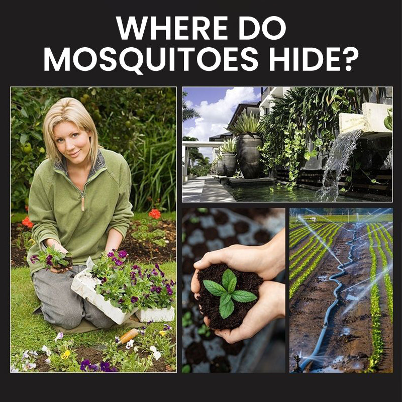 ✨Retour limité en été&Durée limitée 50% de réduction✨🚫🦟Solar Mosquito Zapper Lamp Stake