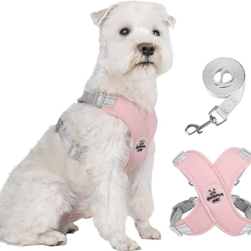 🥳SOLDES EXCEPTIONNELLES 2026🥳💞PLUS DE 50 000 EXEMPLAIRES VENDUS !👵  Kit harnais anti-traction en X pour chien avec laisse