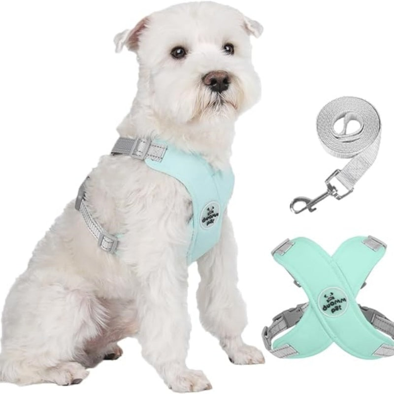 🥳SOLDES EXCEPTIONNELLES 2026🥳💞PLUS DE 50 000 EXEMPLAIRES VENDUS !👵  Kit harnais anti-traction en X pour chien avec laisse
