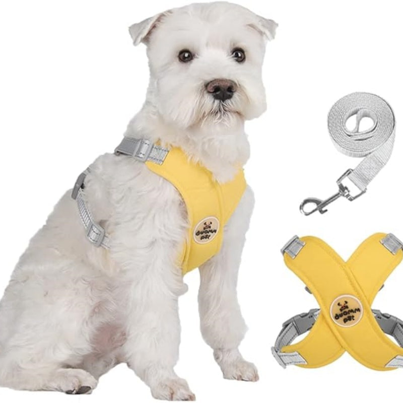 🥳SOLDES EXCEPTIONNELLES 2026🥳💞PLUS DE 50 000 EXEMPLAIRES VENDUS !👵  Kit harnais anti-traction en X pour chien avec laisse