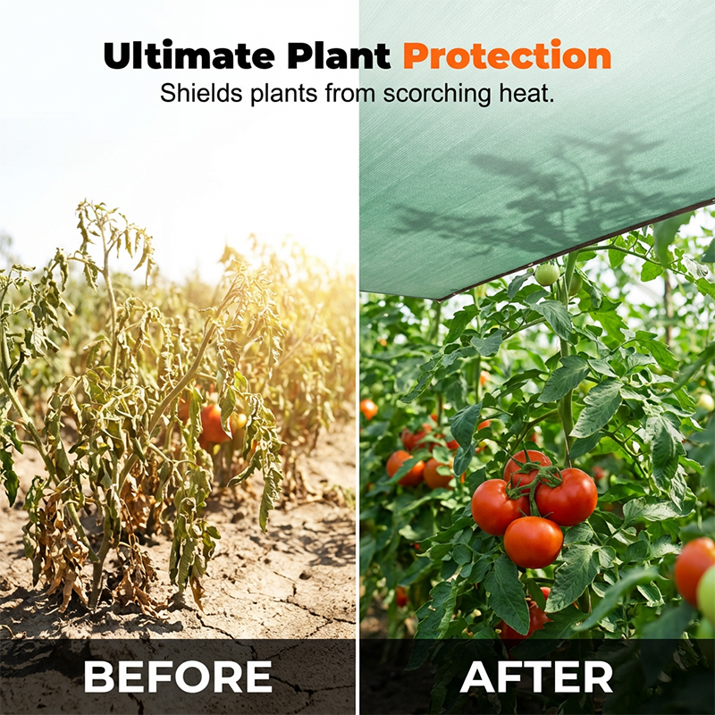 Toile de protection solaire résistante aux UV pour couvrir les plantes en extérieur