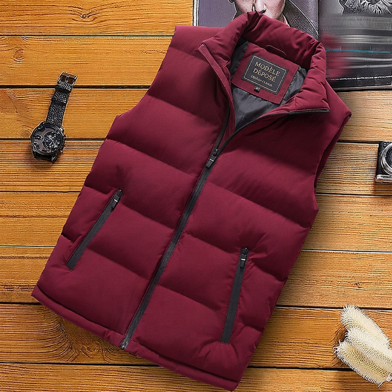 🔥 50% de réduction 🔥Gilet matelassé classique pour homme à col montant