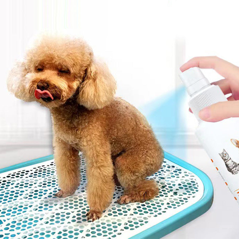 Pet Potty Here Trainingsspray