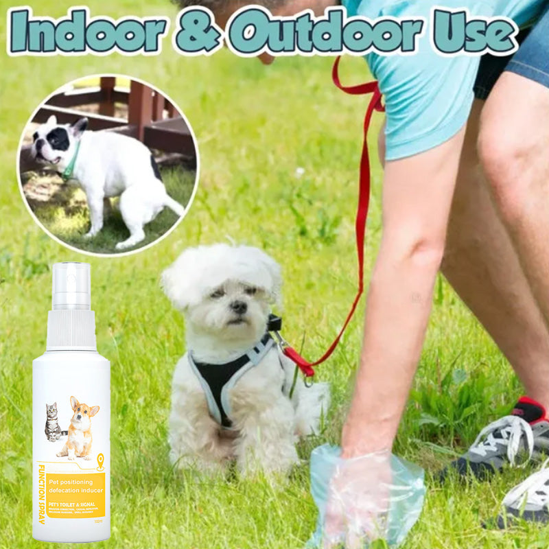 Pet Potty Here Trainingsspray