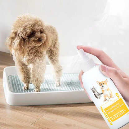 Pet Potty Here Trainingsspray